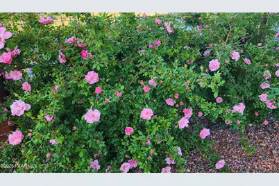 1125 N Wagon Wheel Place, Chino Valley, AZ 86323 - Photo 55