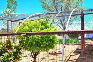 1125 N Wagon Wheel Pl, Chino Valley, AZ 86323 - Photo 29