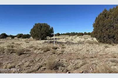 932C SW Thirsty Burro Road, Seligman, AZ 86337 - Photo 3