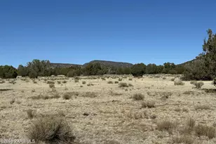 932C SW Thirsty Burro Rd, Seligman, AZ 86337 - Photo 1