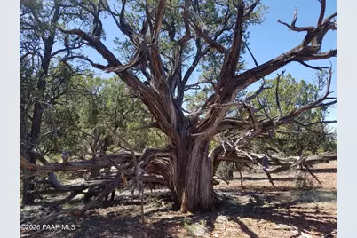 138 Arizona Road, Ash Fork, AZ 86320 - Photo 7