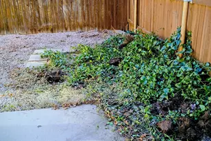 1623 W Lindley Dr, Prescott, AZ 86303 - Photo 21