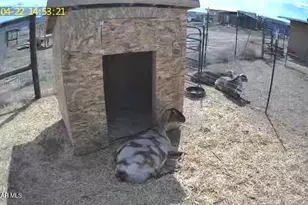 26817 N Sweet Pea Bud Ln, Paulden, AZ 86334 - Photo 27