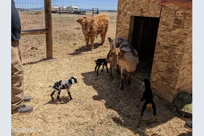 26817 N Sweet Pea Bud Lane, Paulden, AZ 86334 - Photo 25