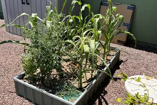 7255 E Mercedes Ct, Prescott Valley, AZ 86315 - Photo 43