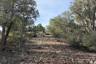 66B Howling Wolf Rd, Ash Fork, AZ 86320 - Photo 1