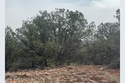 66B Howling Wolf Road, Ash Fork, AZ 86320 - Photo 3