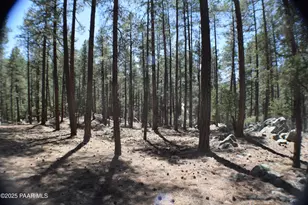 5067 E Big Bug Mesa Rd, Prescott, AZ 86303 - Photo 65