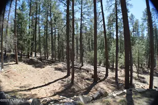 5067 E Big Bug Mesa Rd, Prescott, AZ 86303 - Photo 61