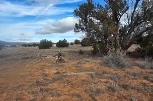 27565 W Fort Rock Rd, Seligman, AZ 86337 - Photo 1