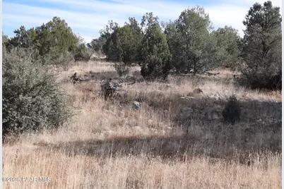 32563 W Ancho Road, Seligman, AZ 86337 - Photo 3