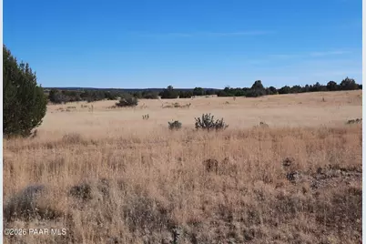 58840 N Tambor Road, Seligman, AZ 86337 - Photo 3