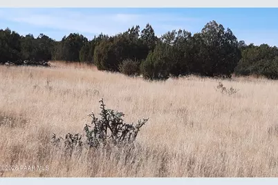 58840 N Tambor Road, Seligman, AZ 86337 - Photo 9