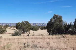 58840 N Tambor Rd, Seligman, AZ 86337 - Photo 1