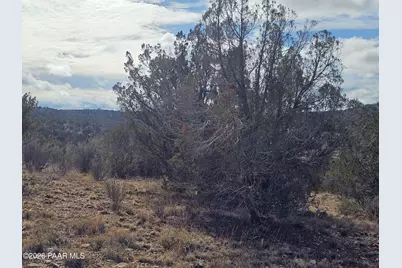 56056 N Bridge Canyon Parkway, Seligman, AZ 86337 - Photo 9