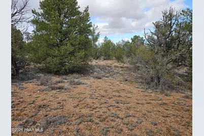 56450 N Shadow Mountain Parkway, Seligman, AZ 86337 - Photo 5