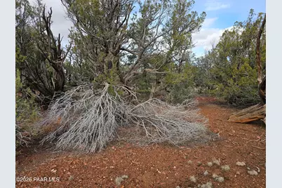 55644 N Potrero Parkway, Seligman, AZ 86337 - Photo 9