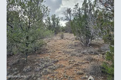 55644 N Potrero Parkway, Seligman, AZ 86337 - Photo 1