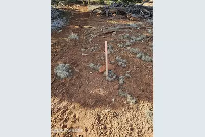 55644 N Potrero Parkway, Seligman, AZ 86337 - Photo 3