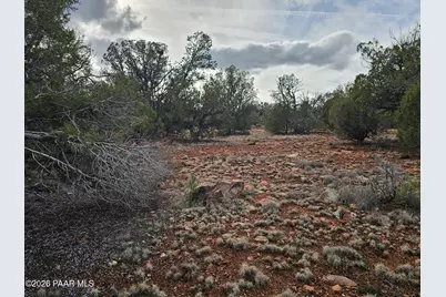 55644 N Potrero Parkway, Seligman, AZ 86337 - Photo 7
