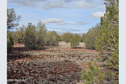 55644 N Potrero Parkway, Seligman, AZ 86337 - Photo 15