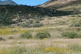 10450 E Vaca Bonita, Dewey-Humboldt, AZ 86329 - Photo 1