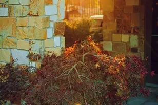 2505 E Old Miner Rd, Prescott, AZ 86303 - Photo 107