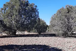 33175 Cowboy Clint Way, Seligman, AZ 86337 - Photo 1