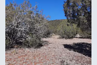 33175 Cowboy Clint Way, Seligman, AZ 86337 - Photo 7