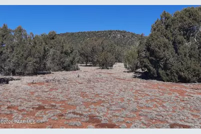 33175 Cowboy Clint Way, Seligman, AZ 86337 - Photo 13