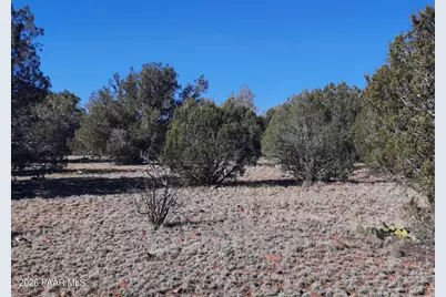 33175 Cowboy Clint Way, Seligman, AZ 86337 - Photo 3