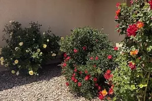2360 W Via Venado, Chino Valley, AZ 86323 - Photo 31