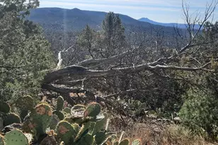 Xxxx N Honey Bear St, Seligman, AZ 86337 - Photo 1