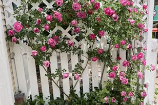 370 Park Ave, Prescott, AZ 86303 - Photo 27