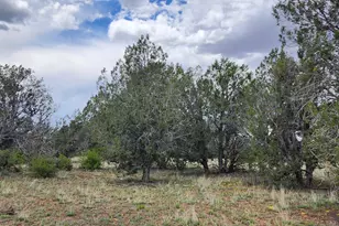 97 C Rattlesnake, Ash Fork, AZ 86320 - Photo 5