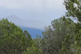 97 C Rattlesnake, Ash Fork, AZ 86320 - Photo 3