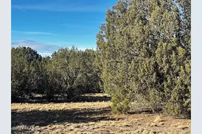 37916-A W Howling Coyote Road, Seligman, AZ 86337 - Photo 9