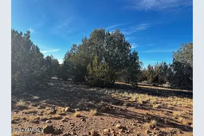 37916-A W Howling Coyote Road, Seligman, AZ 86337 - Photo 3