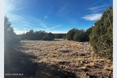 37916-A W Howling Coyote Road, Seligman, AZ 86337 - Photo 5