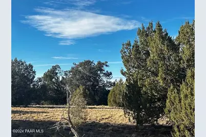 37916-A W Howling Coyote Road, Seligman, AZ 86337 - Photo 7