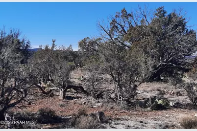 Lot 928 Bridge Canyon Pkwy, Seligman, AZ 86337 - Photo 9