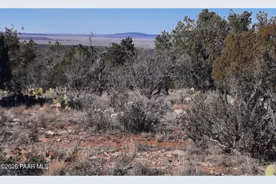 Lot 928 Bridge Canyon Pkwy, Seligman, AZ 86337 - Photo 11