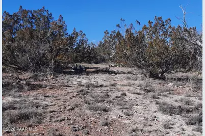 Lot 928 Bridge Canyon Pkwy, Seligman, AZ 86337 - Photo 5