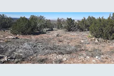 Lot 928 Bridge Canyon Pkwy, Seligman, AZ 86337 - Photo 3