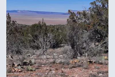 Lot 928 Bridge Canyon Pkwy, Seligman, AZ 86337 - Photo 1