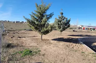 1809 Streben Ct, Chino Valley, AZ 86323 - Photo 9