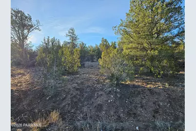 32397 W Camino Oso, Seligman, AZ 86337 - Photo 1