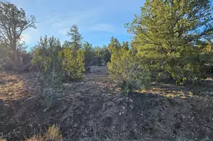 32397 W Camino Oso, Seligman, AZ 86337 - Photo 1