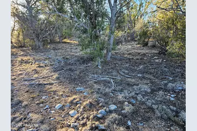 32397 W Camino Oso, Seligman, AZ 86337 - Photo 3