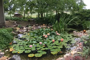 12070 W Kelton Ln, Skull Valley, AZ 86338 - Photo 3